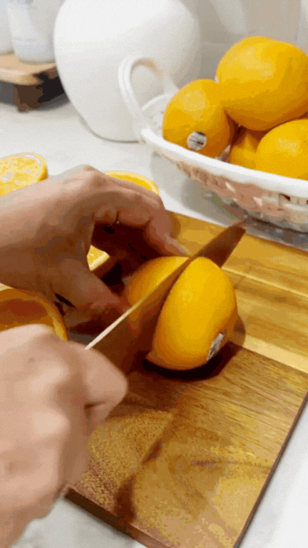 Electric Citrus fruit Juicer .