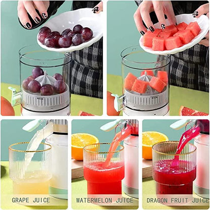 Electric Citrus fruit Juicer .